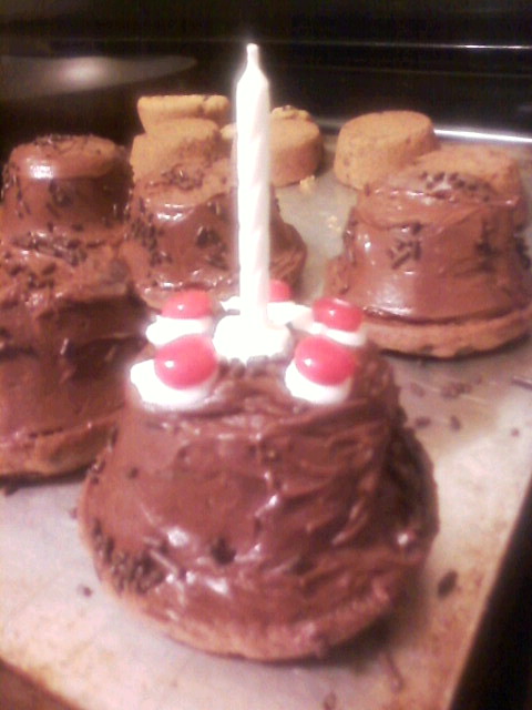 Portal Not-Cakes