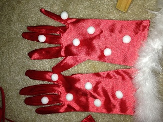 Gloves.JPG