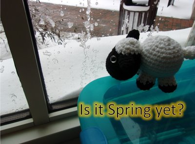 spring sheep.jpg