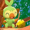 PokemonSwordShield Grookey.jpg