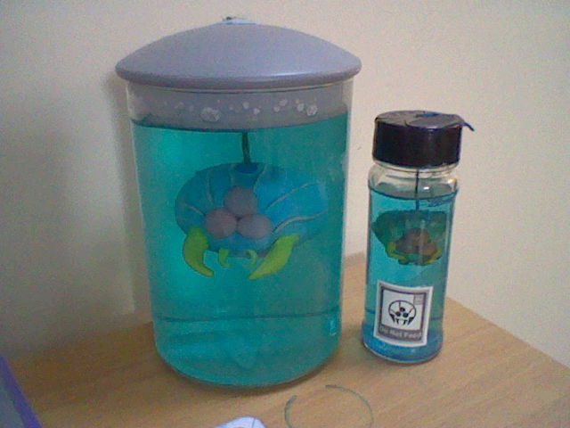 size comparison