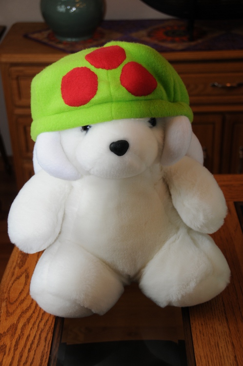 DSC_2450_resized.JPG