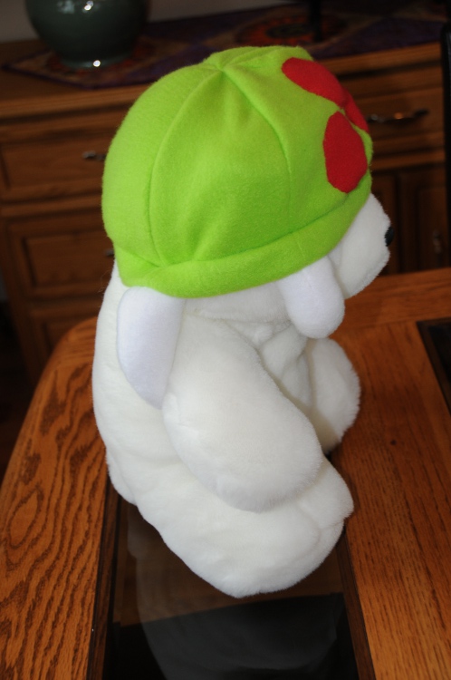 DSC_2451_resized.JPG