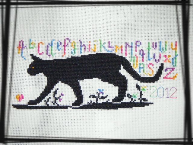 cat rainbow.jpg