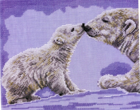 polar.jpg