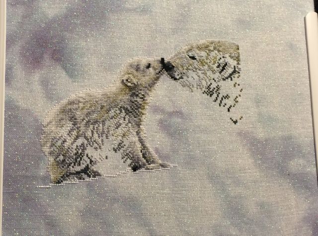 polar3.jpg