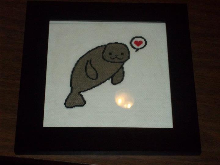 Manatee.jpg